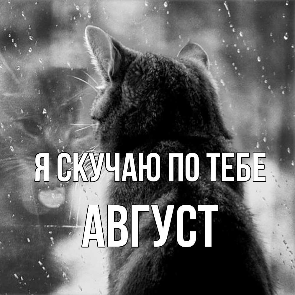 Открытка  с именем. Август, Я скучаю по тебе  