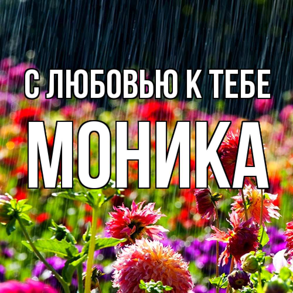 Открытка  с именем. Моника, С любовью к тебе  