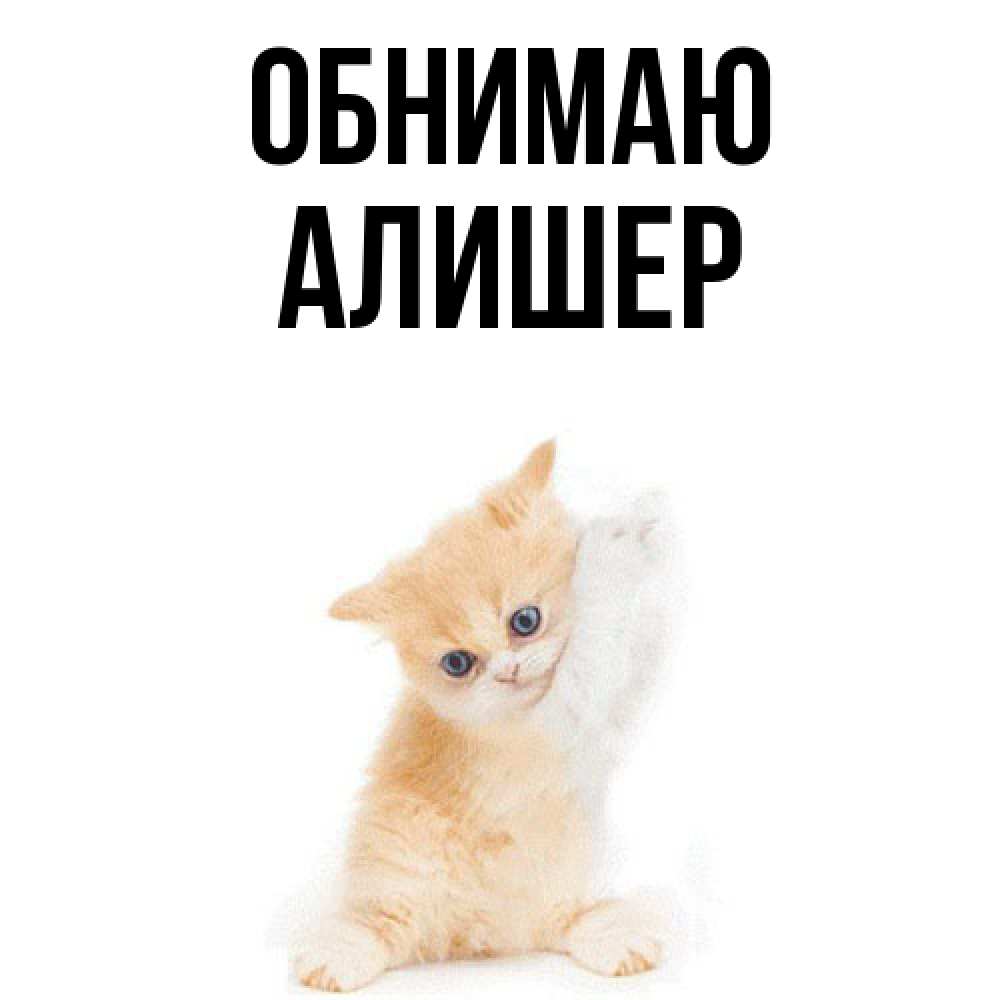 Открытка  с именем. Алишер, Обнимаю  