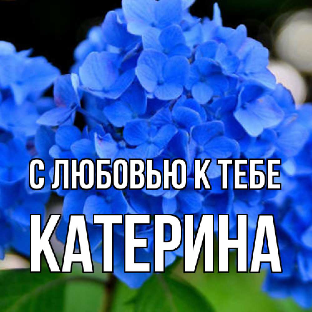 Открытка  с именем. Катерина, С любовью к тебе  