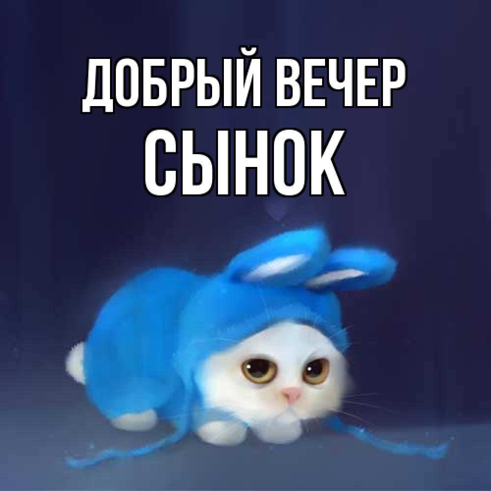Открытка  с именем. Сынок, Добрый вечер  