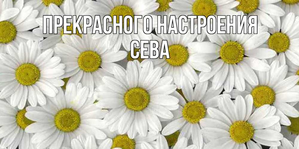 Открытка  с именем. Сева, Прекрасного настроения  