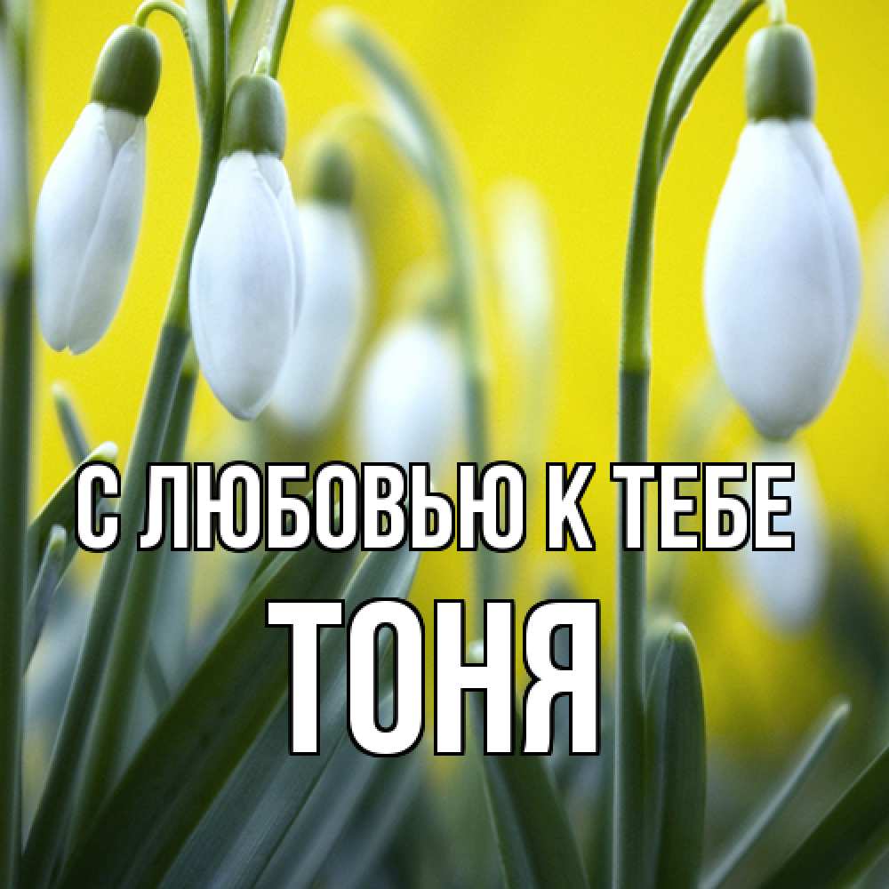 Открытка  с именем. Тоня, С любовью к тебе  