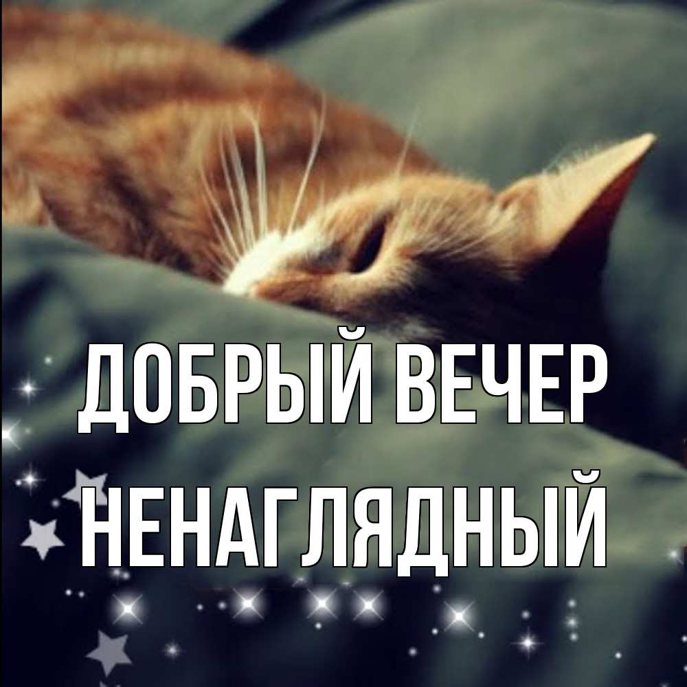 Открытка  с именем. Ненаглядный, Добрый вечер  