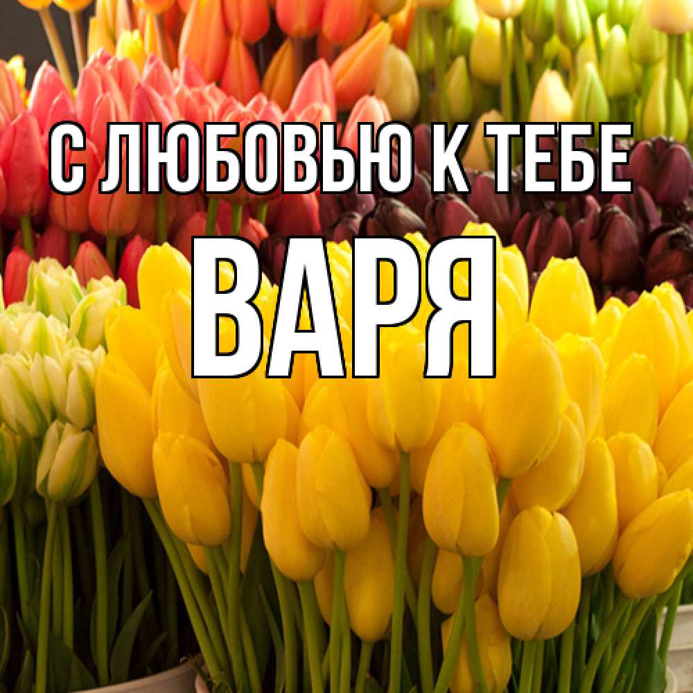 Открытка  с именем. варя, С любовью к тебе  