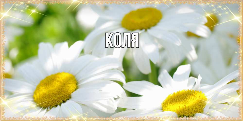 Открытка  с именем. коля, Главная  