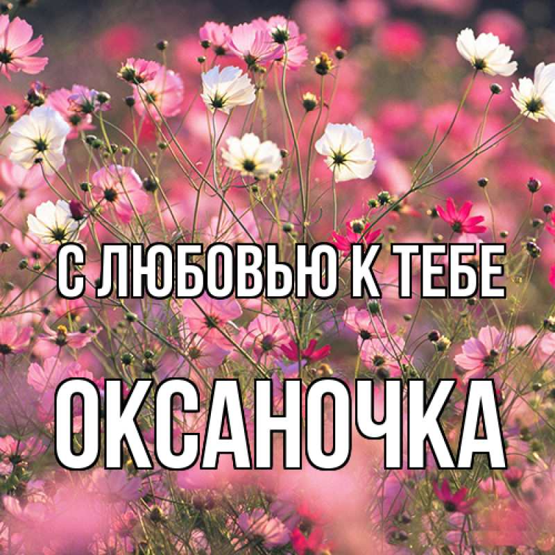Картинка С любовью к тебе, ОКСАНОЧКА