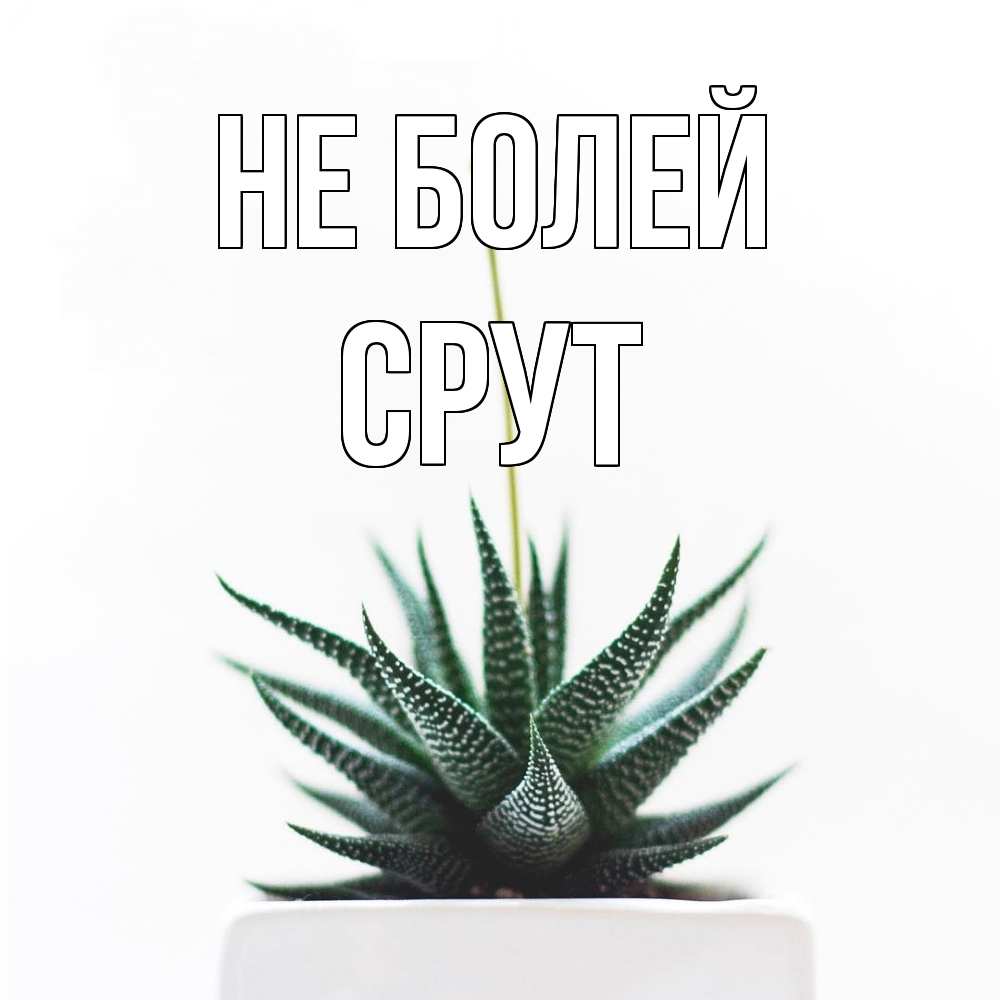 Открытка  с именем. срут, Не болей  