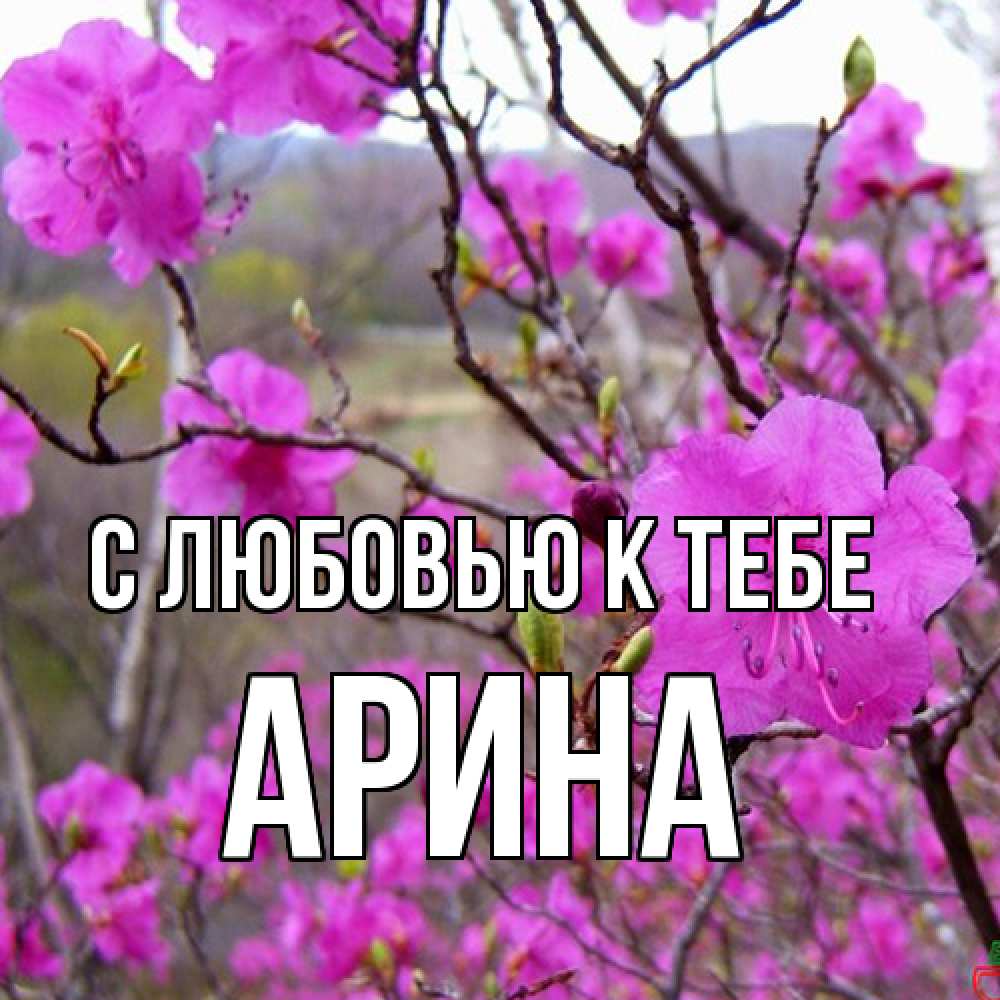 Открытка  с именем. Арина, С любовью к тебе  