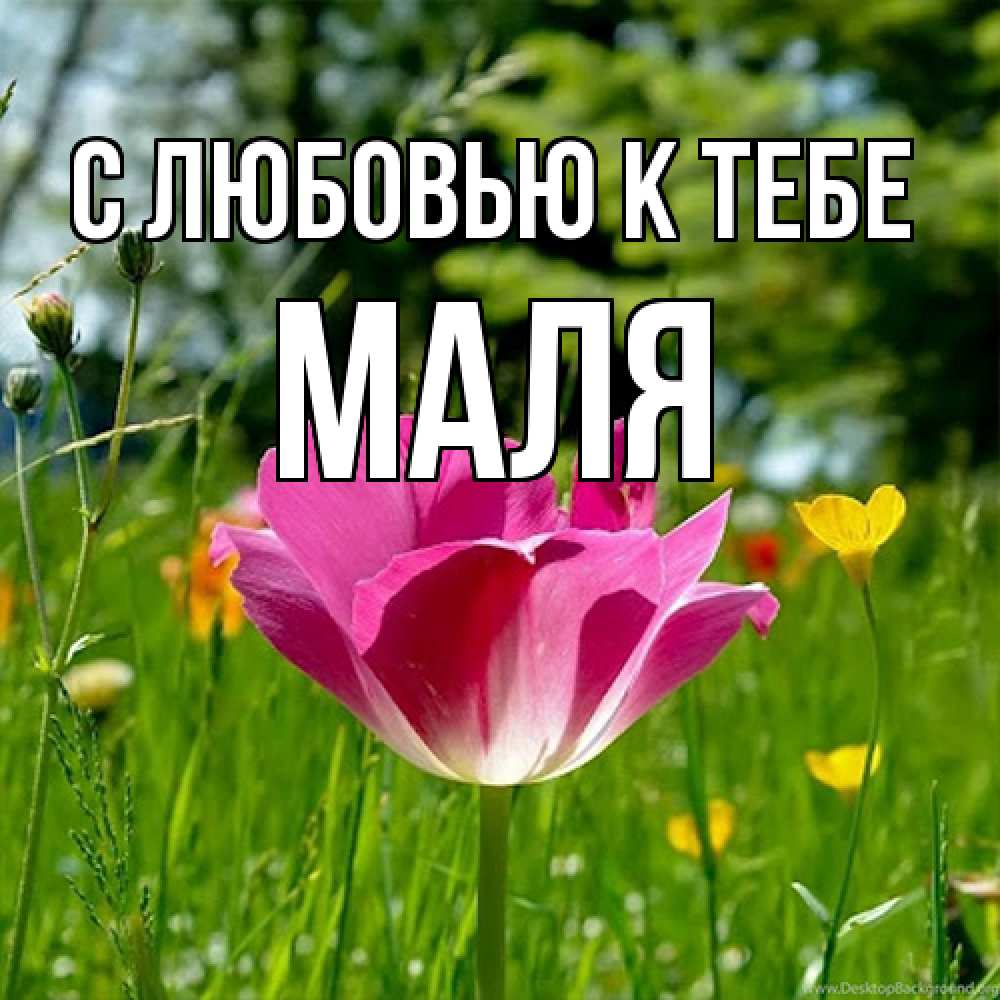 Открытка  с именем. Маля, С любовью к тебе  