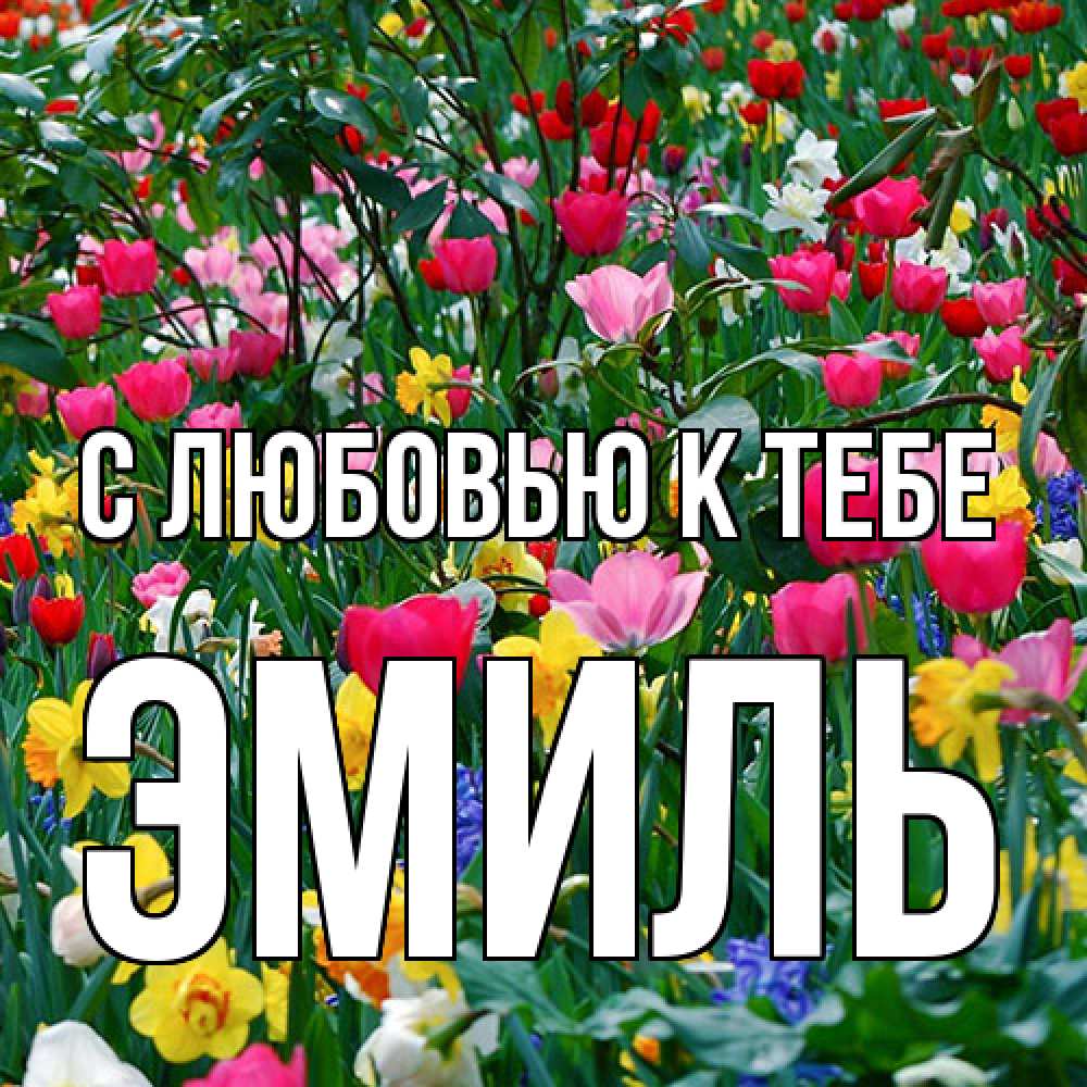 Открытка  с именем. Эмиль, С любовью к тебе  