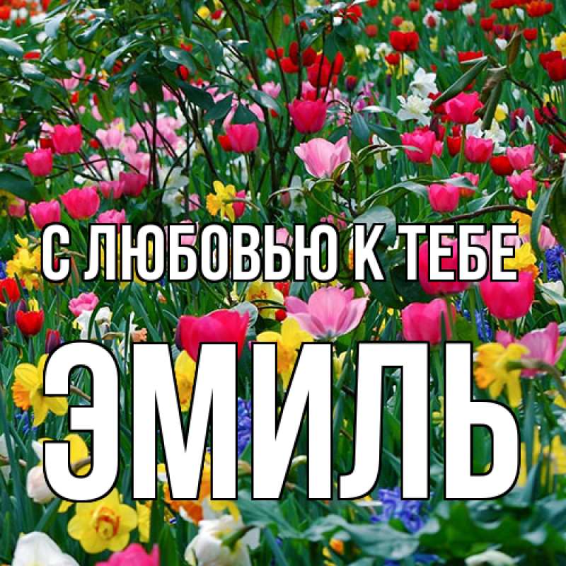 Картинка С любовью к тебе, Эмиль