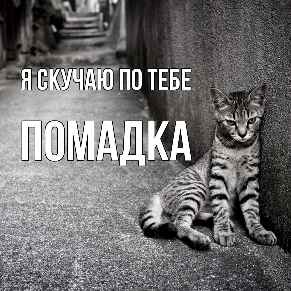 Открытка  с именем. Помадка, Я скучаю по тебе  