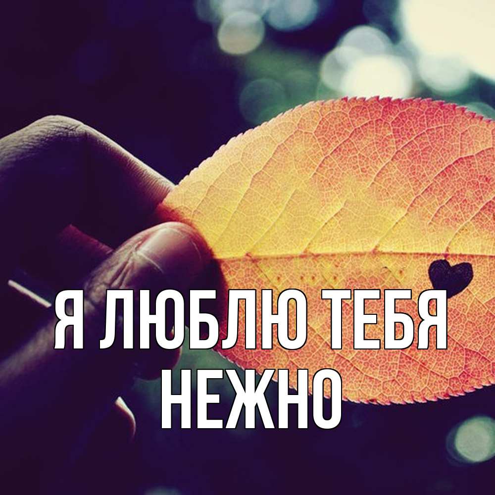 Открытка  с именем. Нежно, Я люблю тебя  