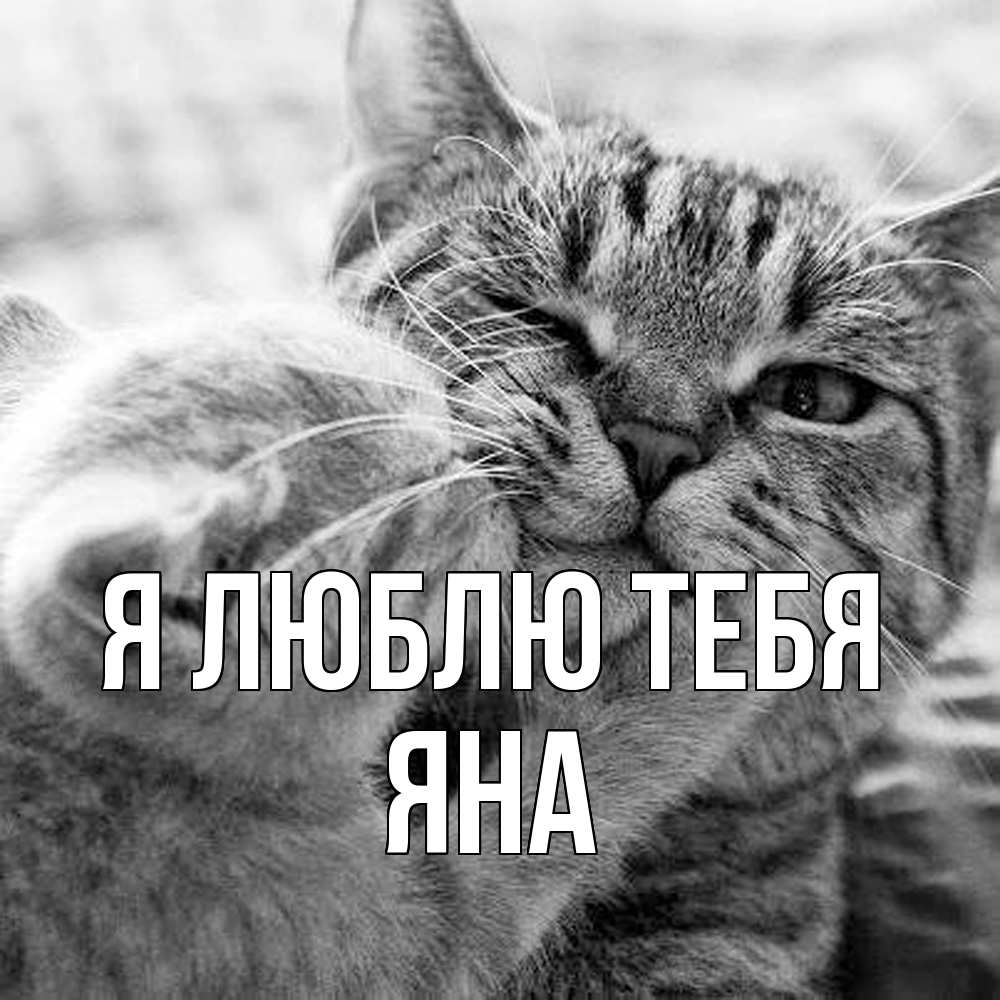 Открытка  с именем. Яна, Я люблю тебя  