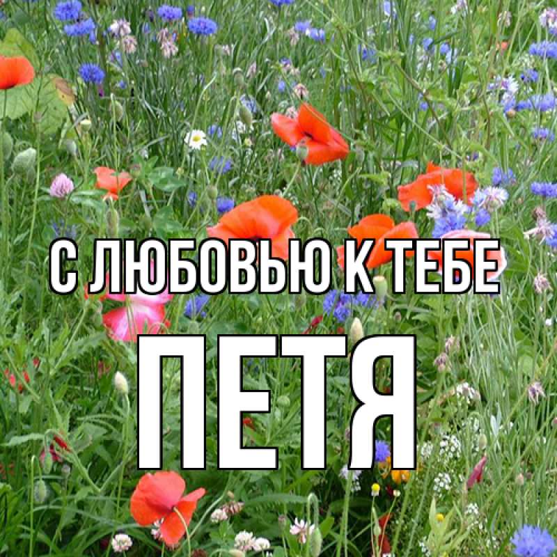 Картинка С любовью к тебе, Петя