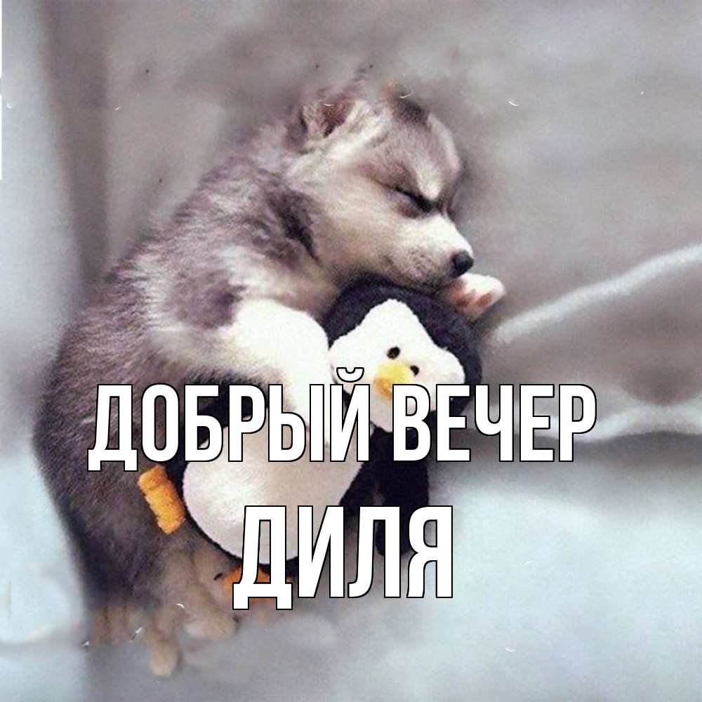 Открытка  с именем. Диля, Добрый вечер  