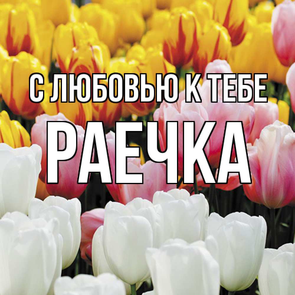 Открытка  с именем. Раечка, С любовью к тебе  