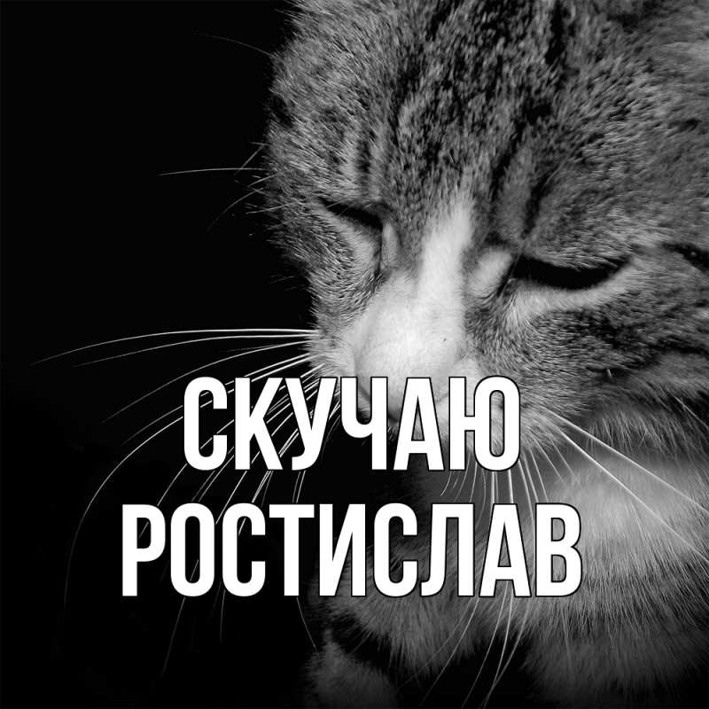 Картинка Скучаю, Ростислав