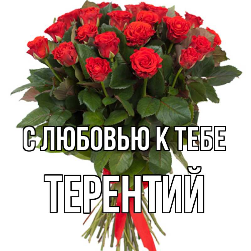 Картинка С любовью к тебе, Терентий