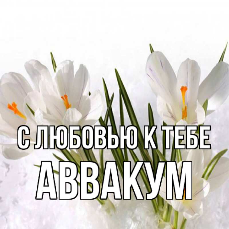 Картинка С любовью к тебе, Аввакум
