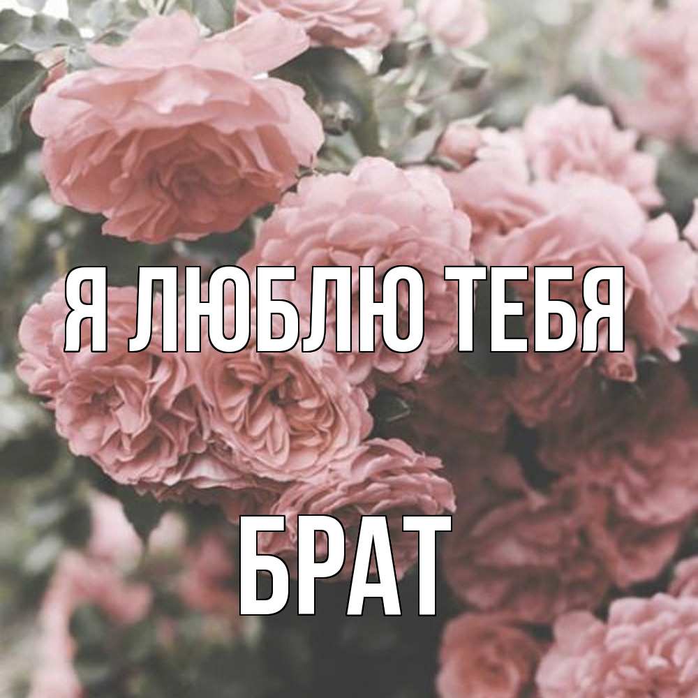 Открытка  с именем. Брат, Я люблю тебя  