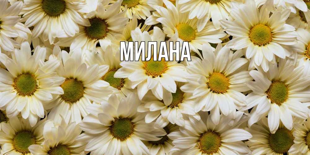 Открытка  с именем. Милана, Главная  