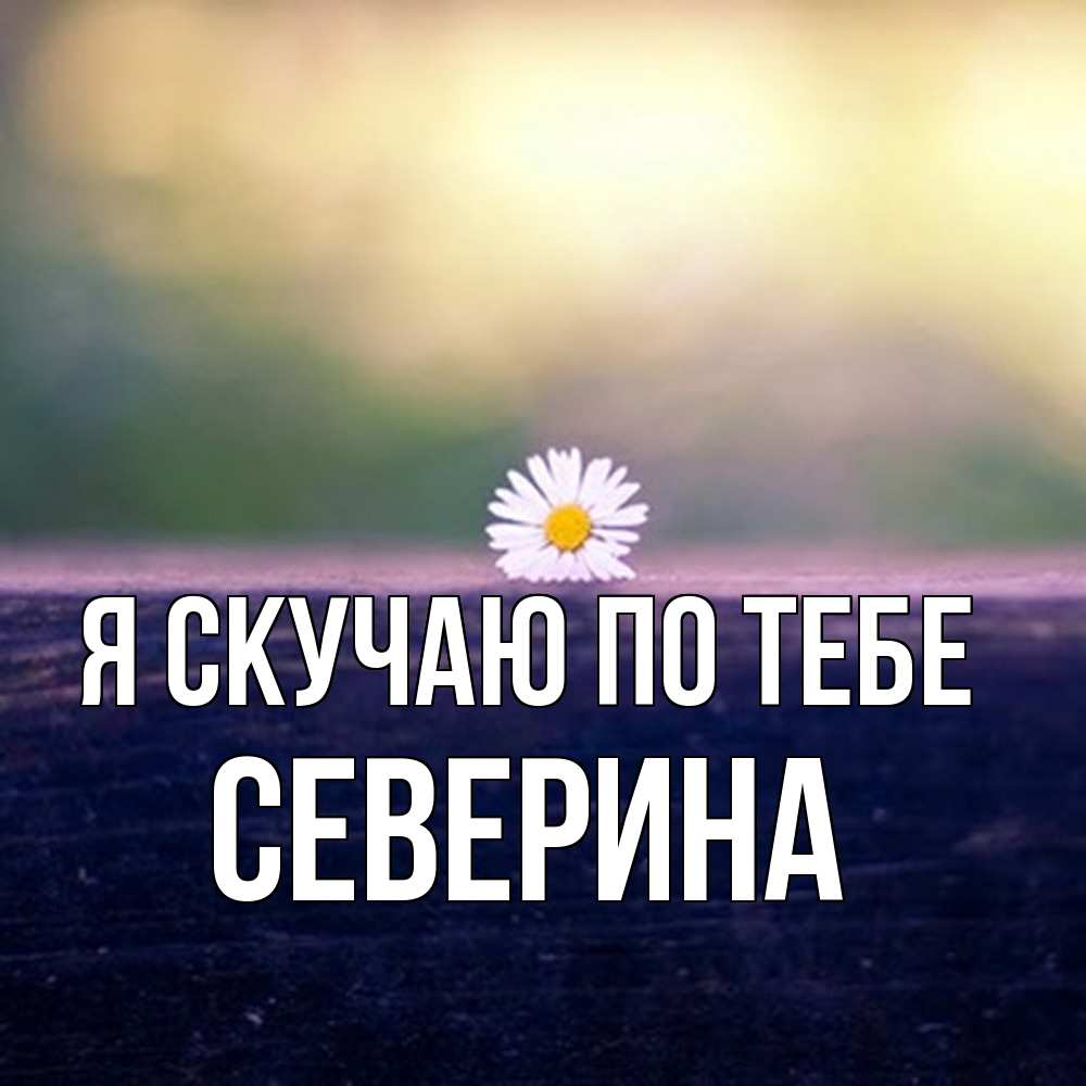 Открытка  с именем. Северина, Я скучаю по тебе  