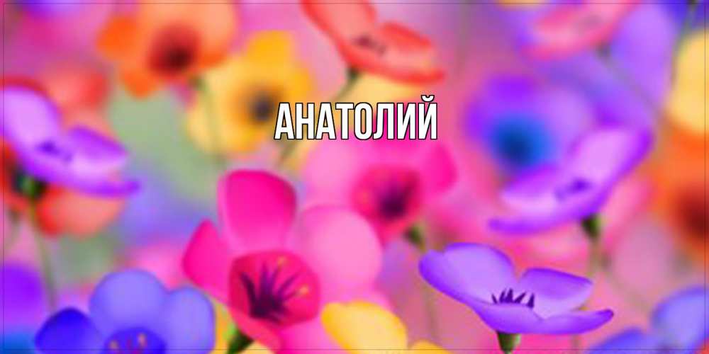 Открытка  с именем. Анатолий, Главная  