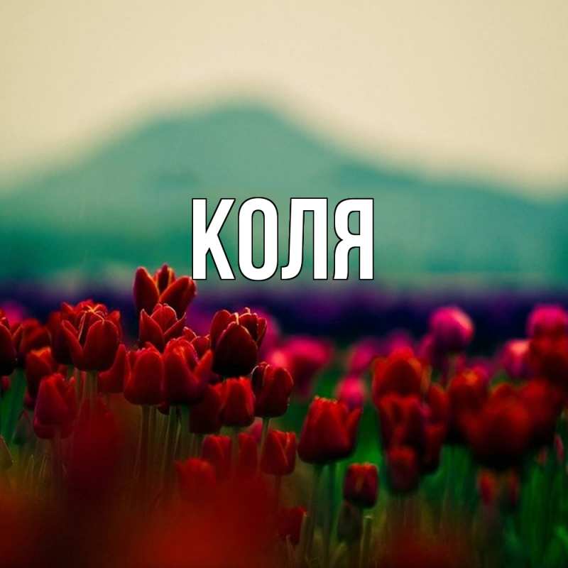 Картинка  с именем , коля