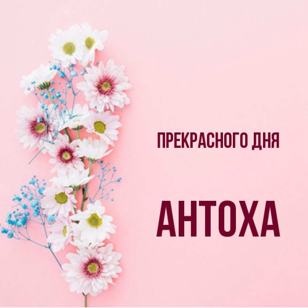 Открытка  с именем. Антоха, Прекрасного дня  