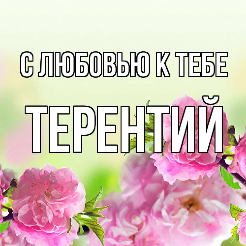 Открытка  с именем. Терентий, С любовью к тебе  