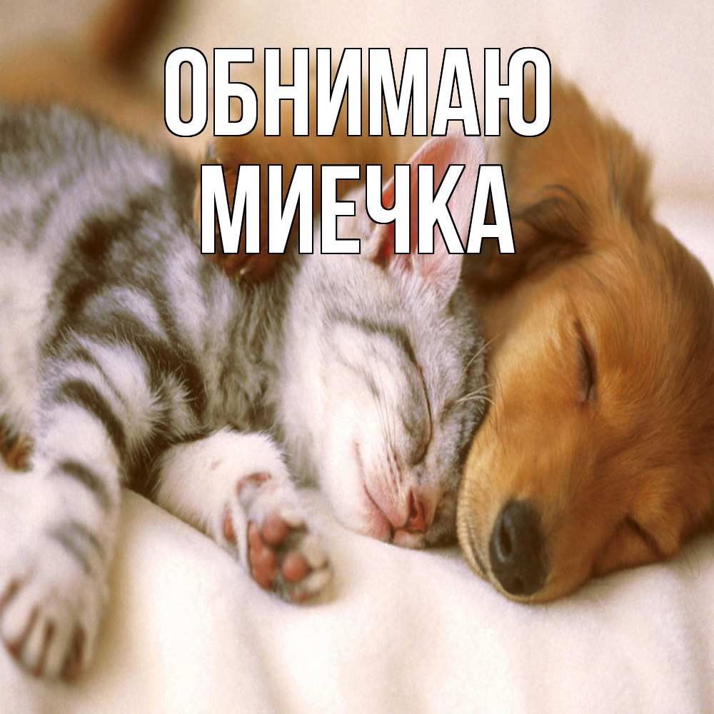 Открытка  с именем. Миечка, Обнимаю  