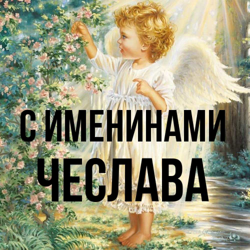 Открытка  с именем. Чеслава, С именинами  