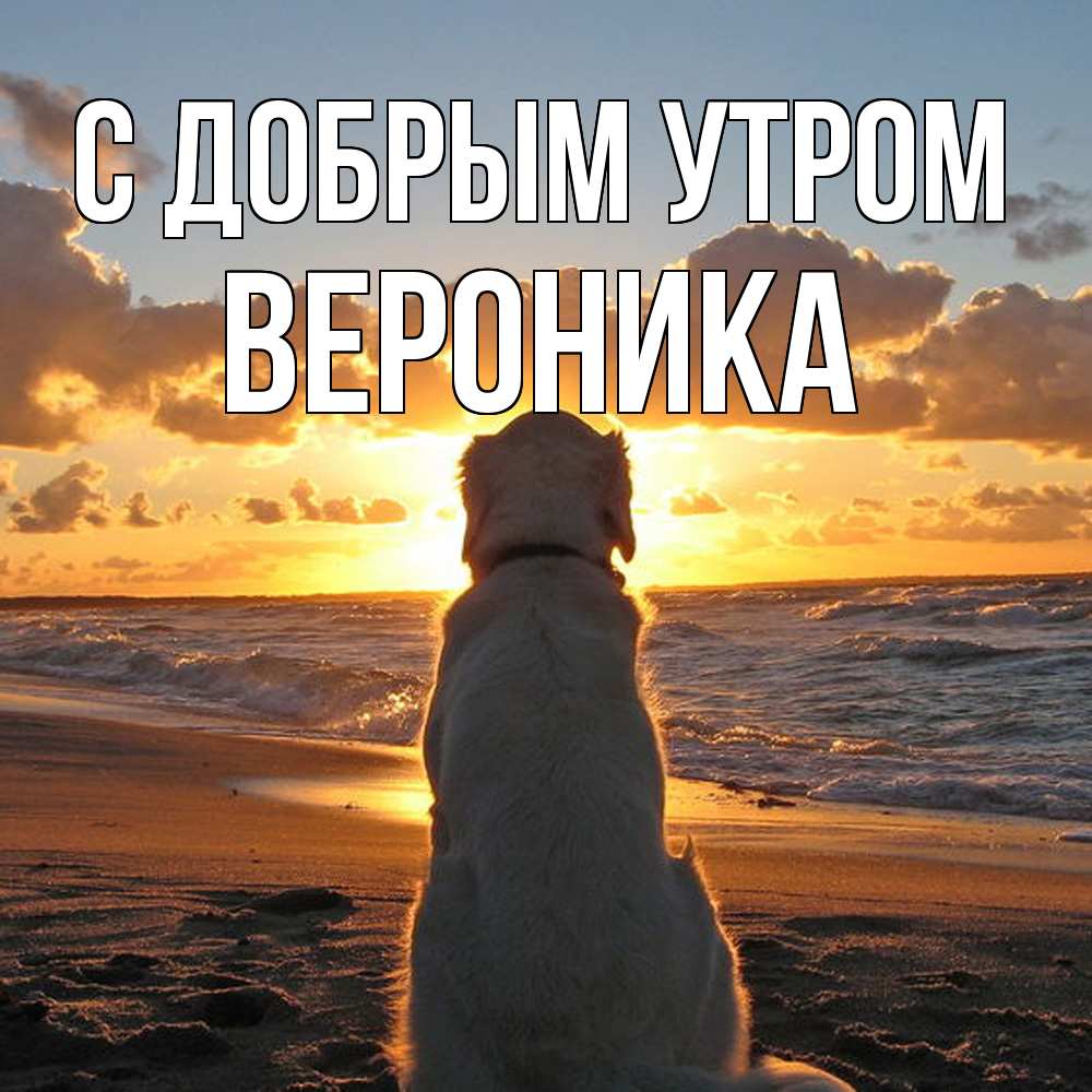 Открытка  с именем. Вероника, С добрым утром  