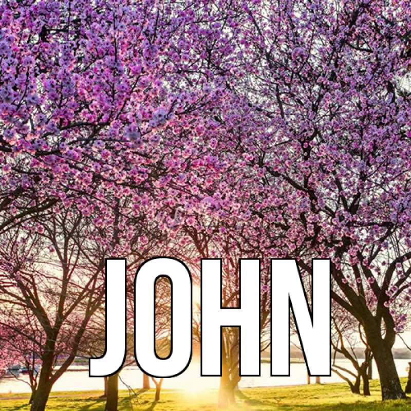 Картинка  с именем , John