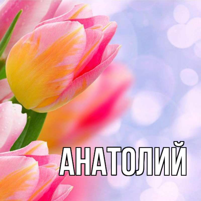 Картинка  с именем , Анатолий