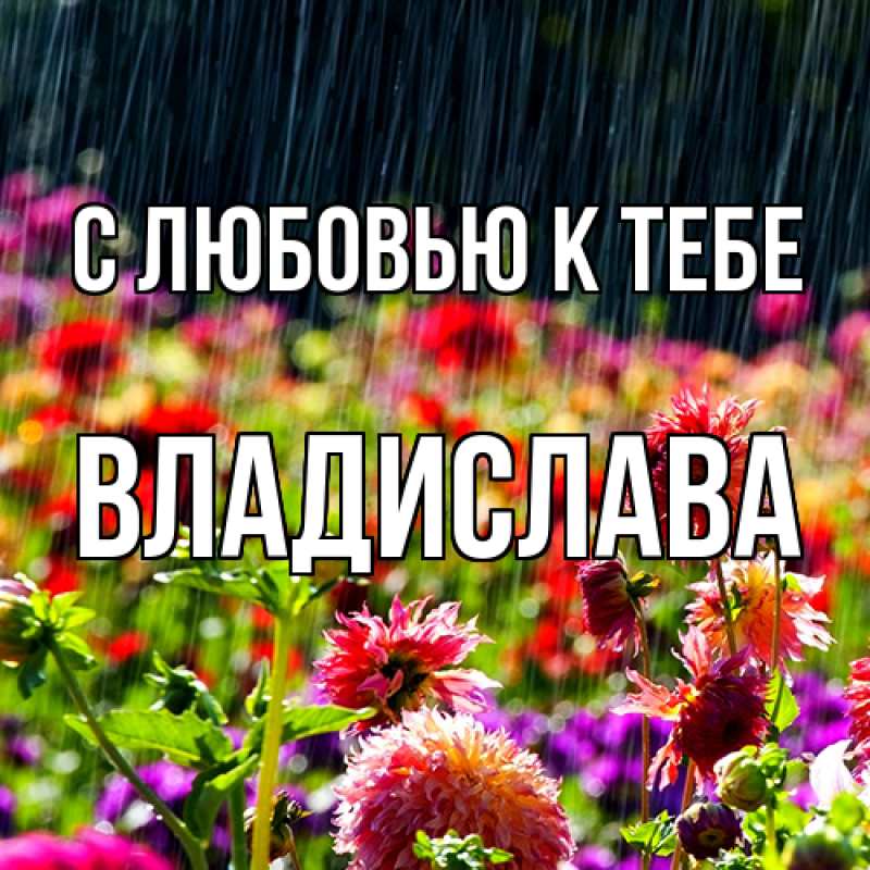 Картинка С любовью к тебе, Владислава