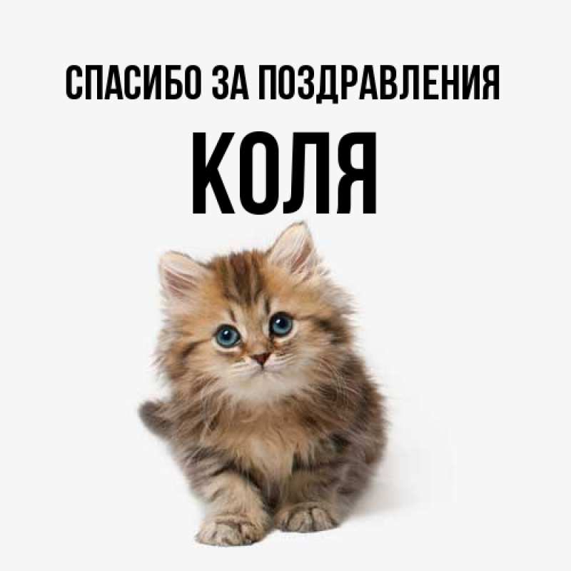 Картинка Спасибо за поздравления, КОЛЯ