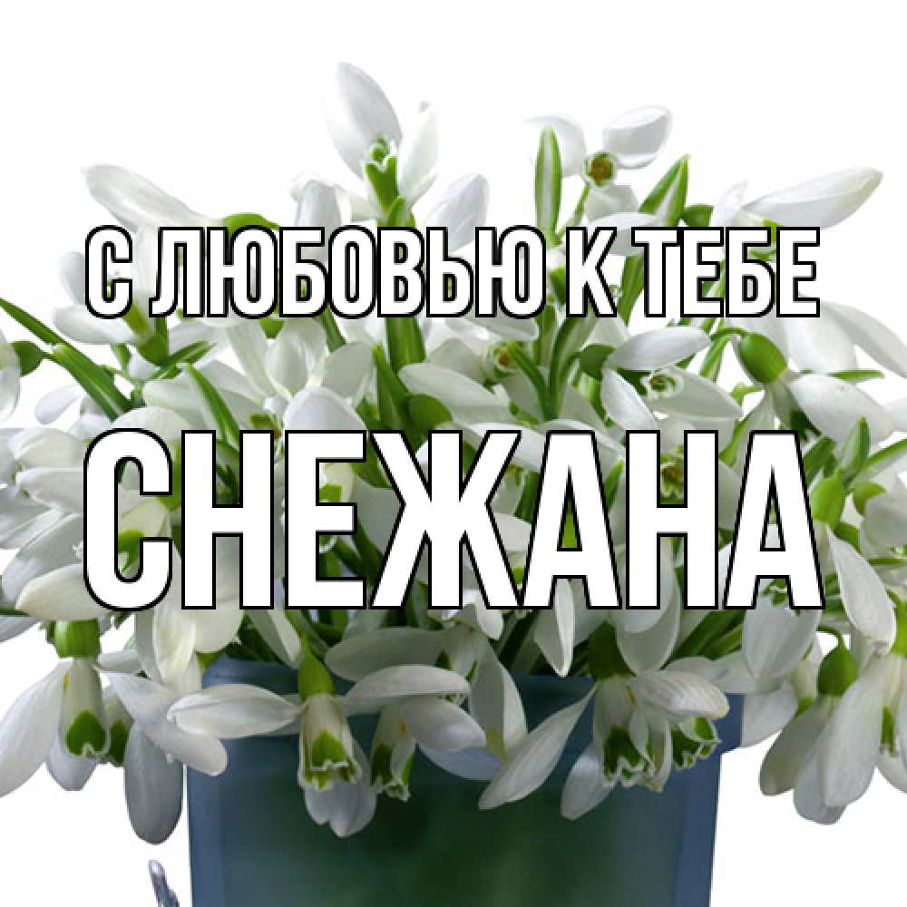Открытка  с именем. Снежана, С любовью к тебе  