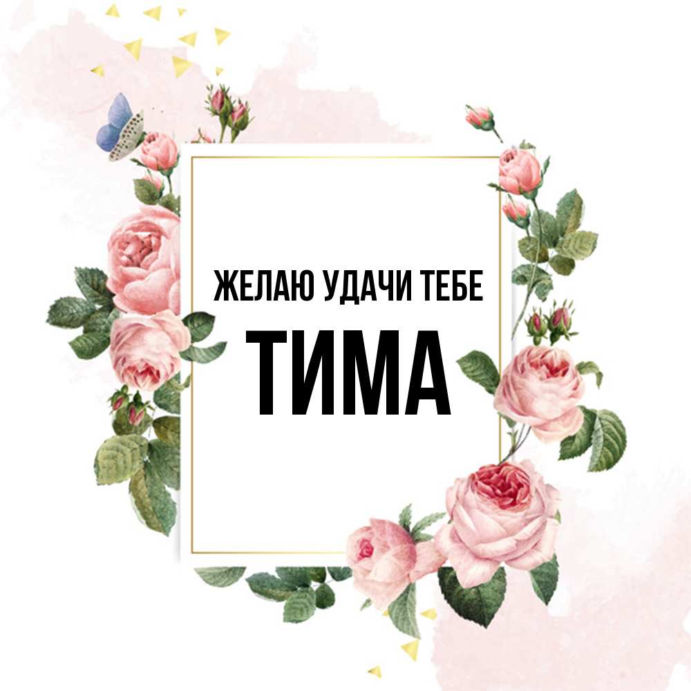 Открытка  с именем. Тима, Желаю удачи тебе  