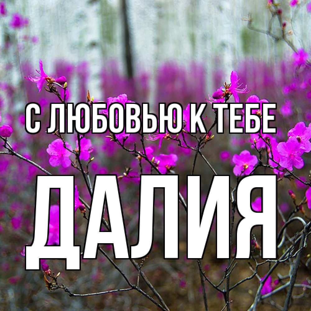 Открытка  с именем. Далия, С любовью к тебе  