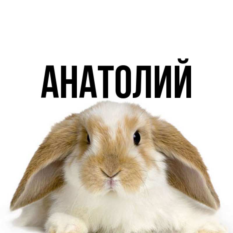 Картинка  с именем , Анатолий