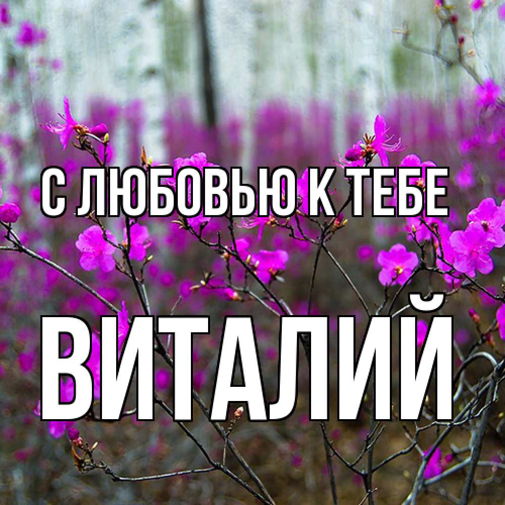 Открытка  с именем. Виталий, С любовью к тебе  