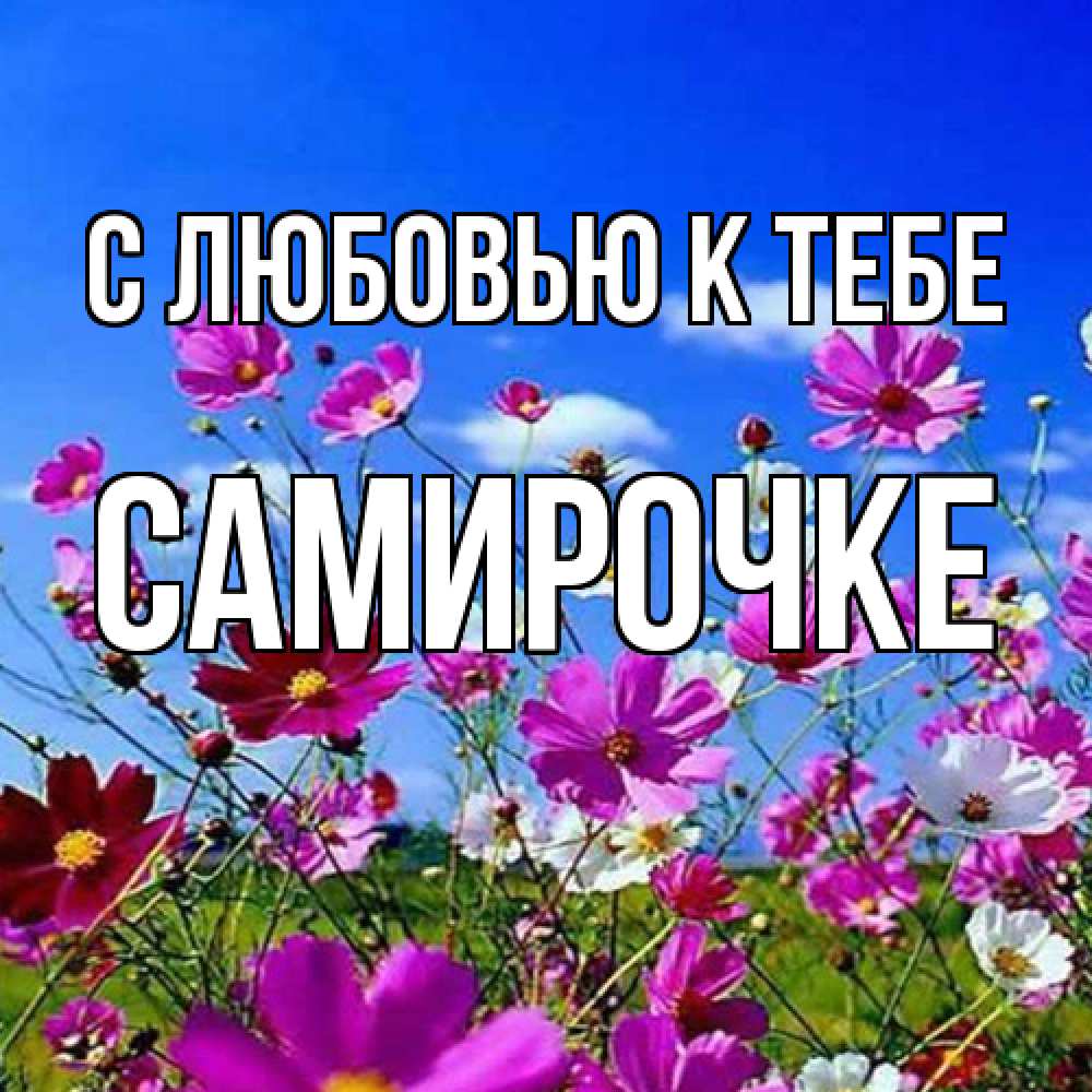 Открытка  с именем. самирочке, С любовью к тебе  