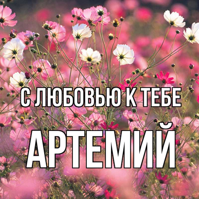 Картинка С любовью к тебе, Артемий
