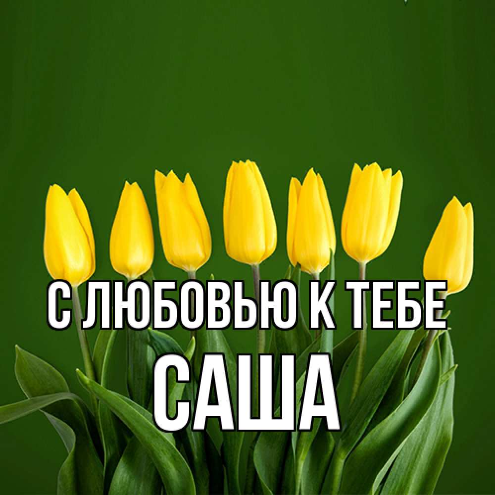 Открытка  с именем. Саша, С любовью к тебе  