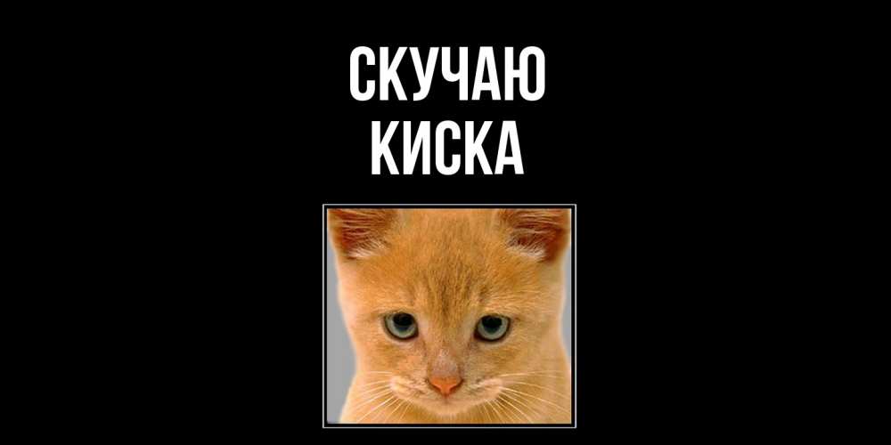 Открытка  с именем. Киска, Скучаю  