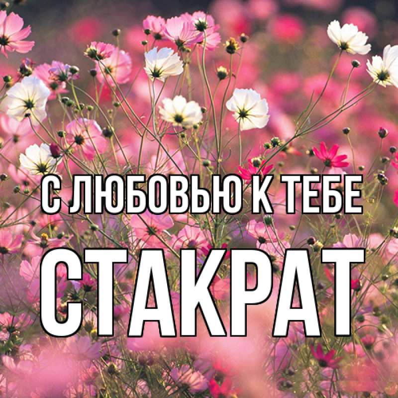 Картинка С любовью к тебе, Стакрат