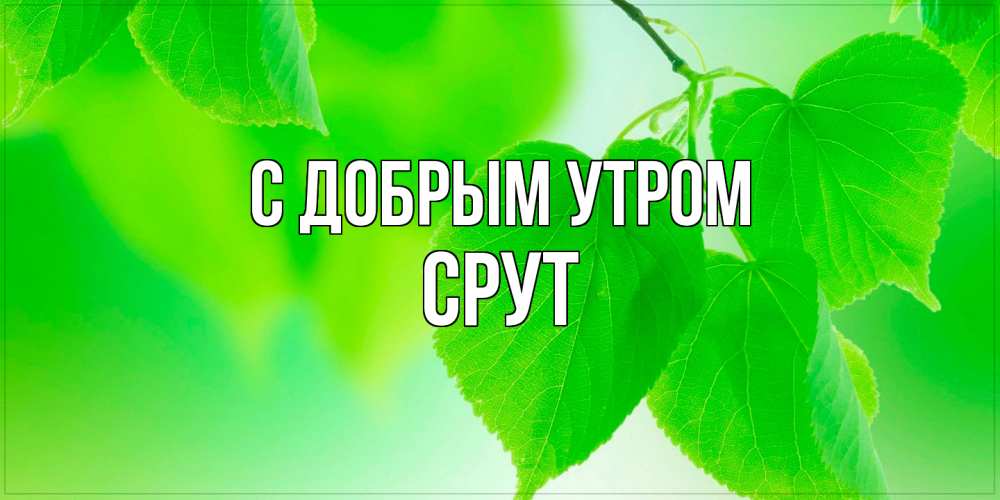 Открытка  с именем. срут, С добрым утром  